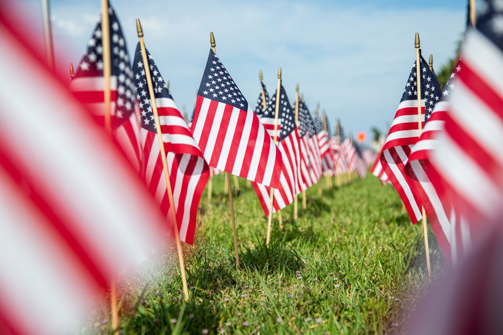 Hundreds of American flags planted on the lawn - CMBG3 Law
